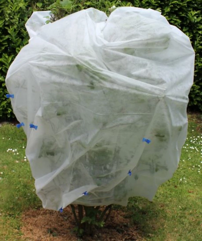 Castorama Voile D'hivernage 30g Jany 2 X 5 M 3 Castorama Voile D'hivernage 30g Jany 2 X 5 M